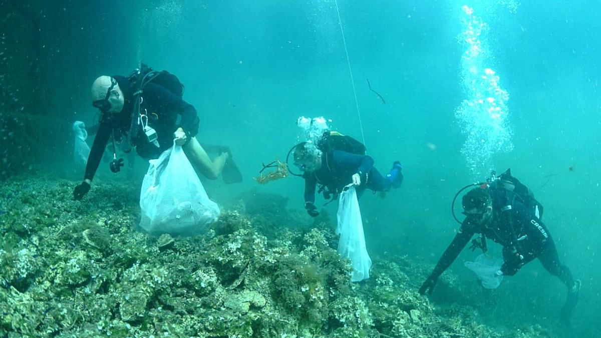 Tres buzos de las Fuerzas Armadas limpian de residuos el fondo marino de Cabrera. | 

