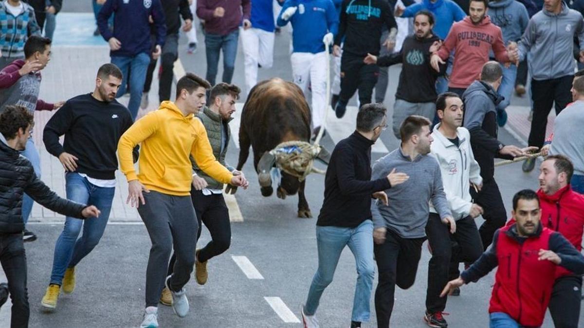 Foto de archivo del bous al carrer de Ontinyent en 2019. / PERALES IBORRA