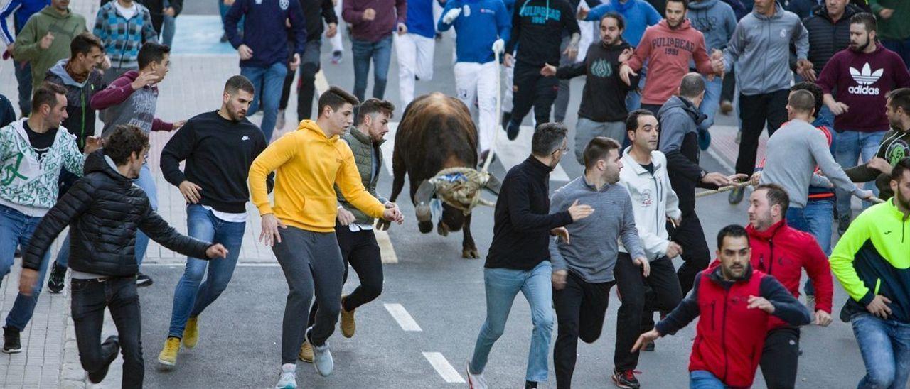 Foto de archivo del bous al carrer de Ontinyent en 2019. / PERALES IBORRA