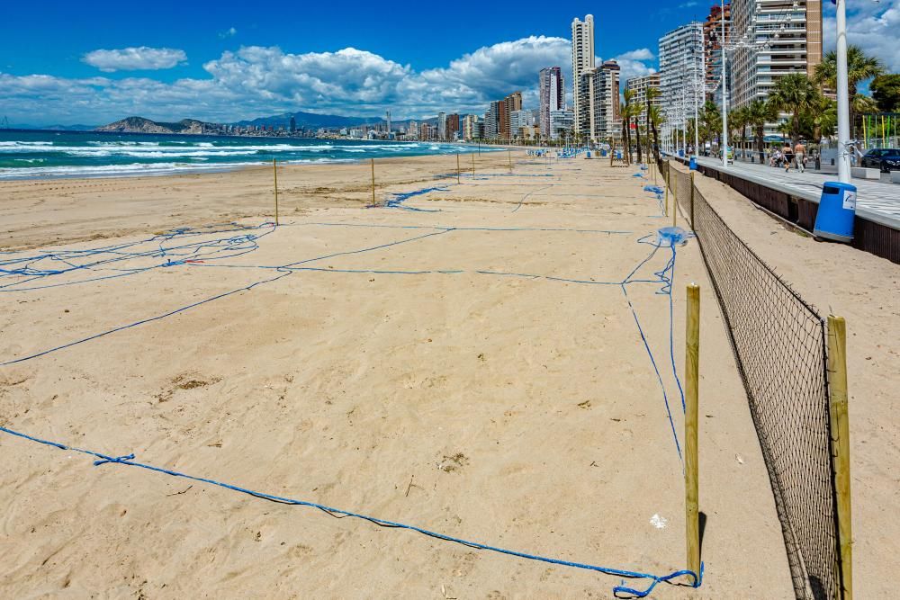 Benidorm prepara la apertura de sus playas con la parcelación