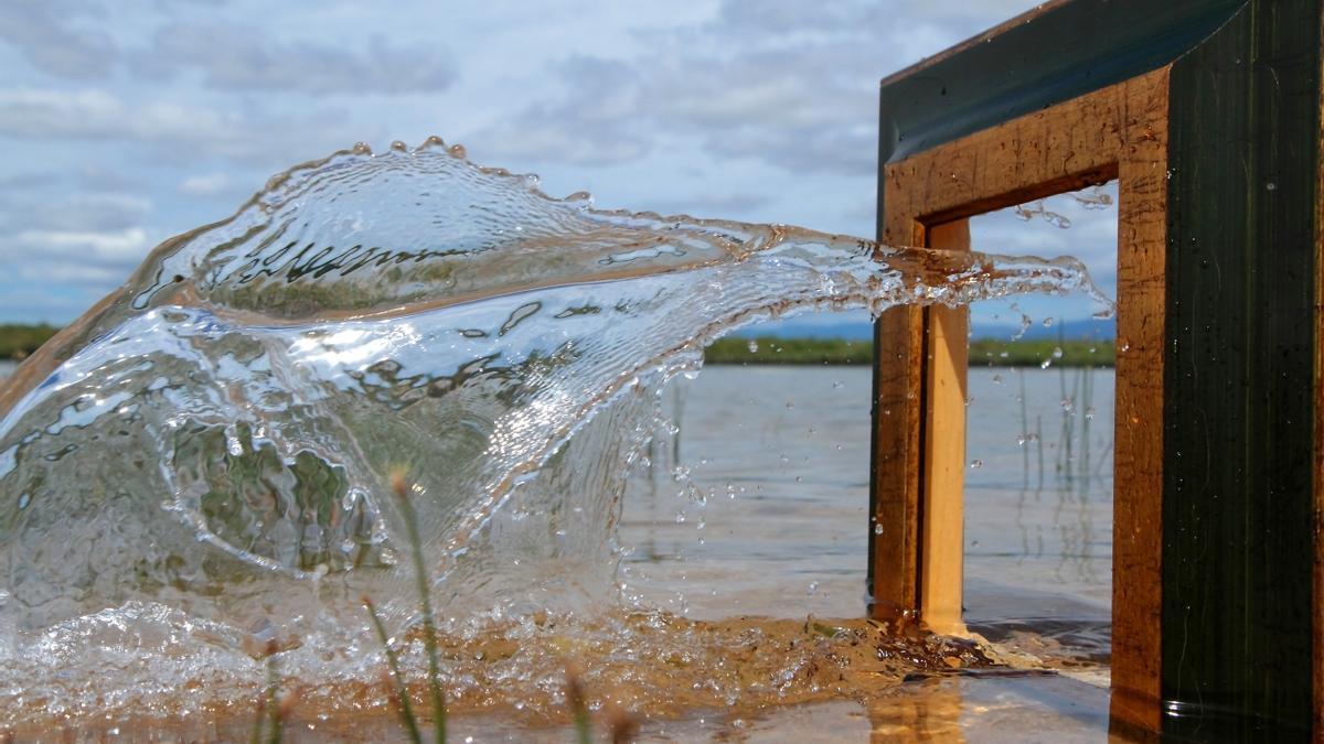 &quot;Como pez en el agua&quot; hecha en la playa de Villardeciervos de Zamora.