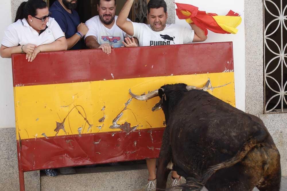 Encierros de Villanueva del Duque