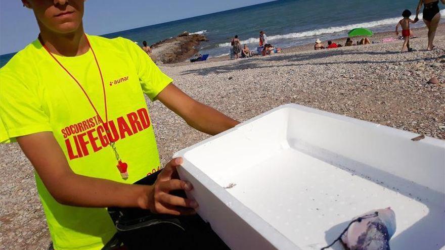 ¿Cómo deben actuar los ayuntamientos ante las carabelas en la playa?