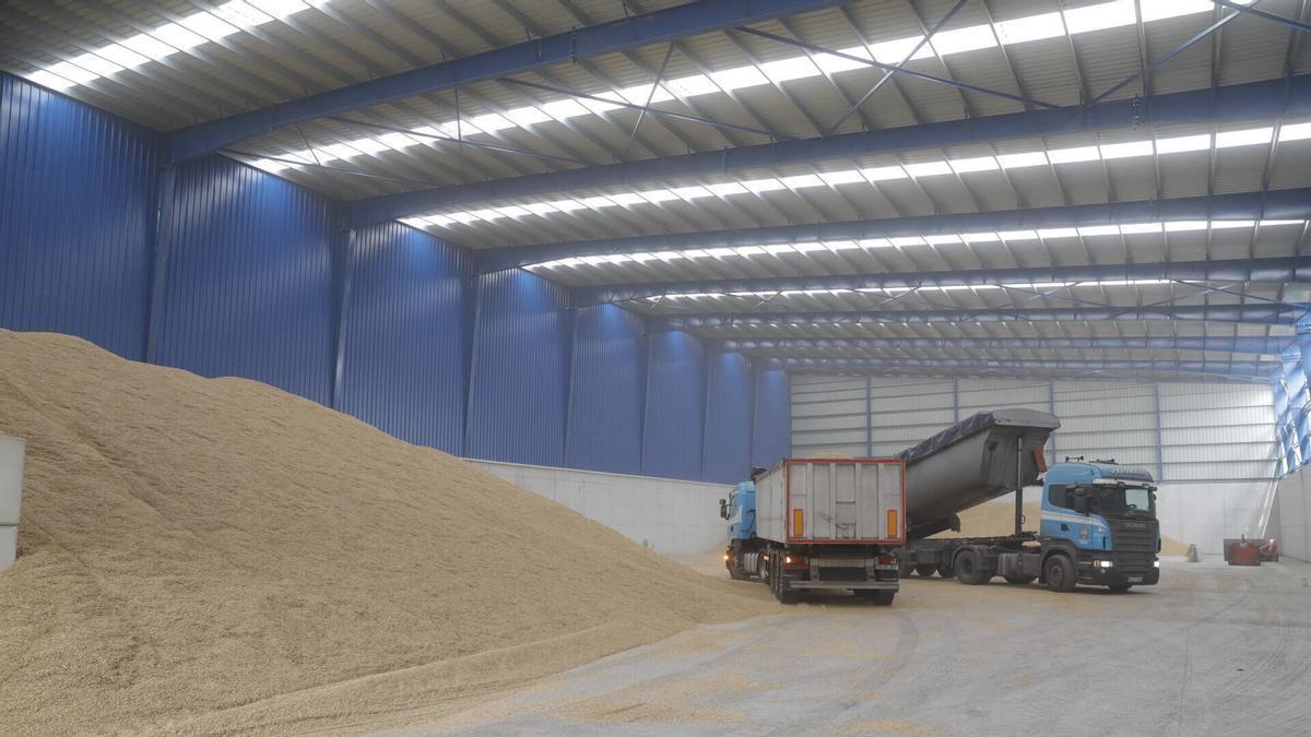 Camiones en las nuevas naves de almacenamiento de cereal de Chemastur en el Puerto de Avilés, en una imagen de archivo.