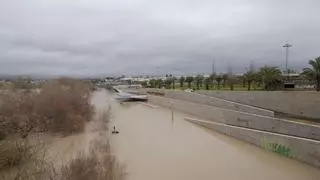 El Guadalquivir inunda Miraflores y sitia la Calahorra en una crecida que va camino de ser histórica
