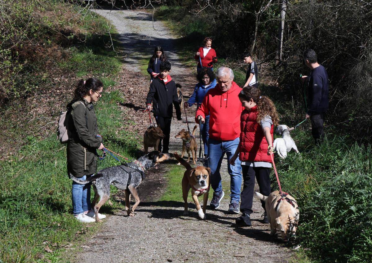 Un paseo por una buena causa: la protectora Os Biosbardos y FARO se unen en la suscripción solidaria