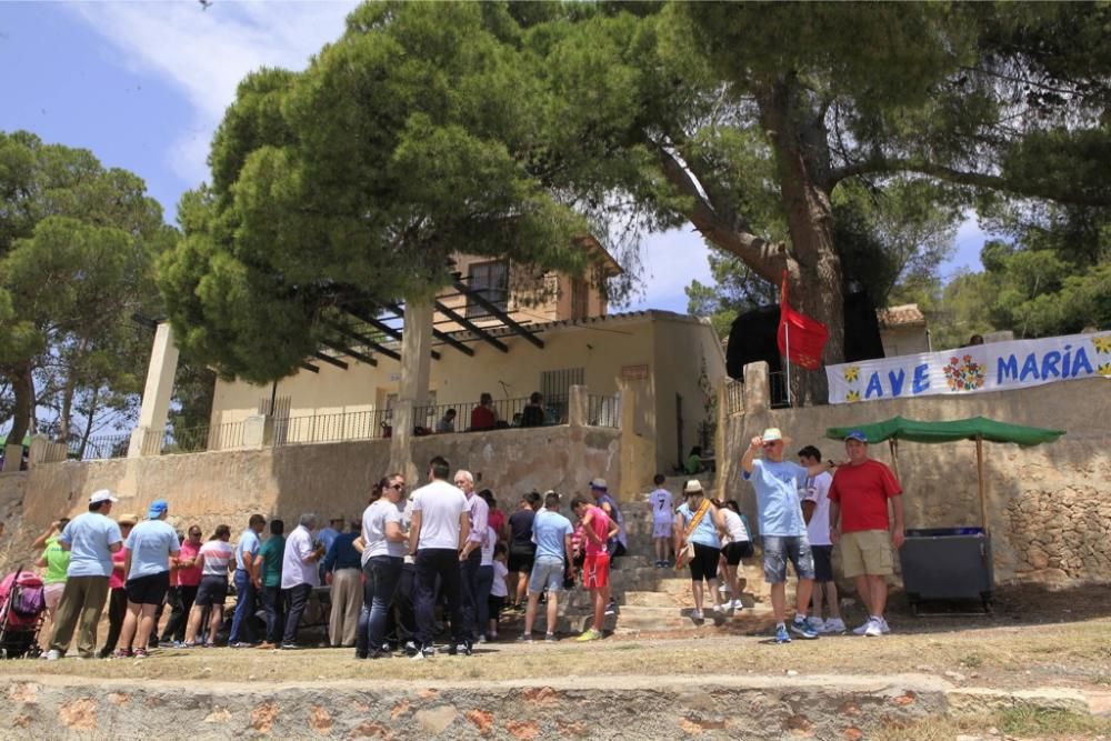 Romería de la Virgen del Rosario en Barinas