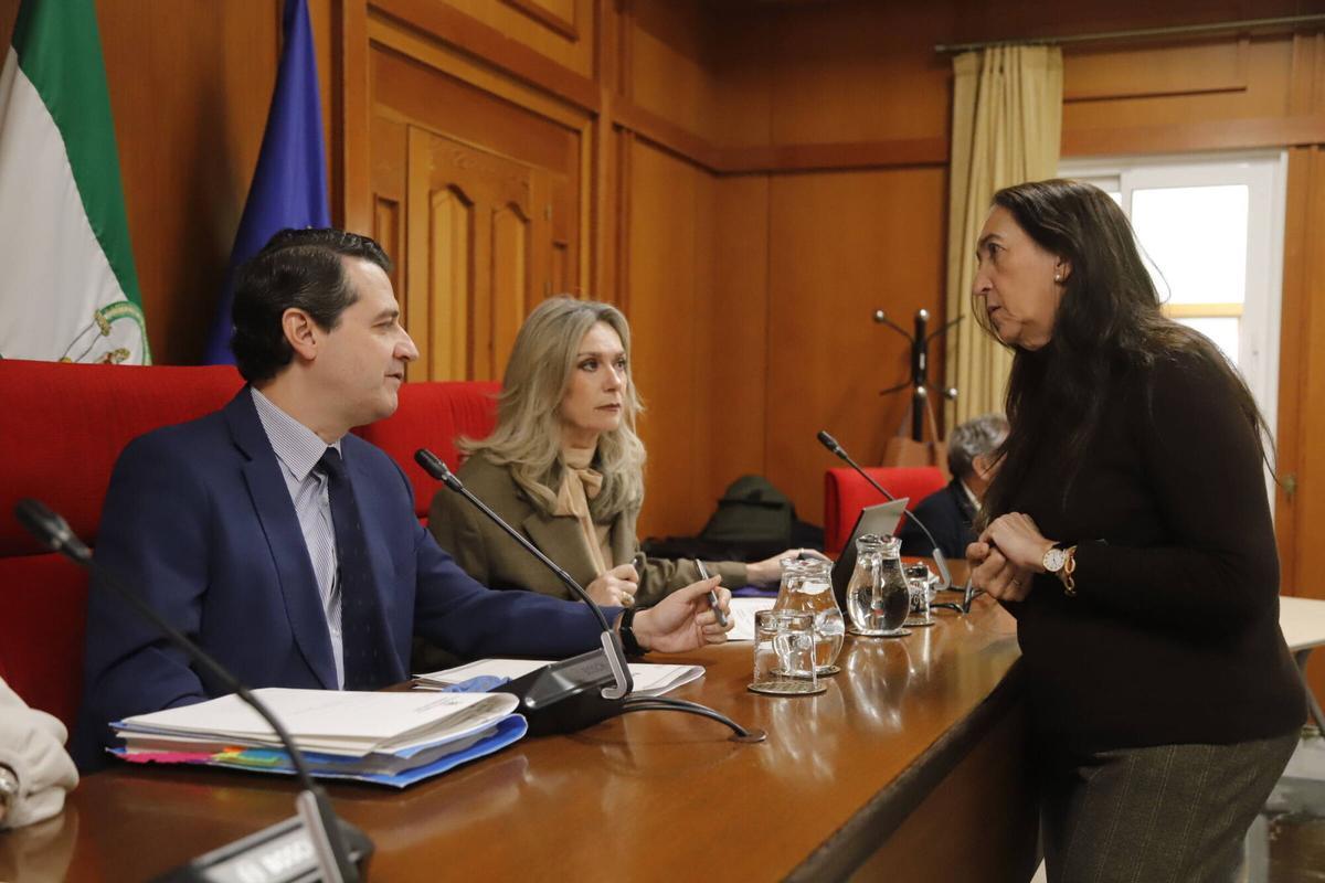 A.J.González Córdoba Pleno Ayuntamiento