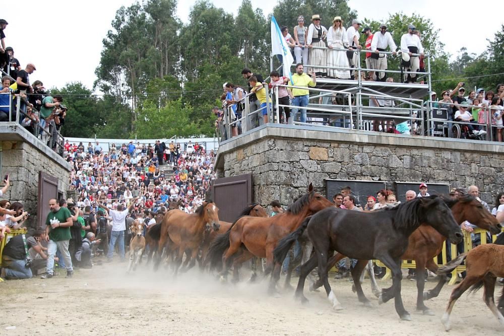 Lucha titánica en el segundo curro de la Rapa das Bestas. // Bernabé | J. C. Asorey