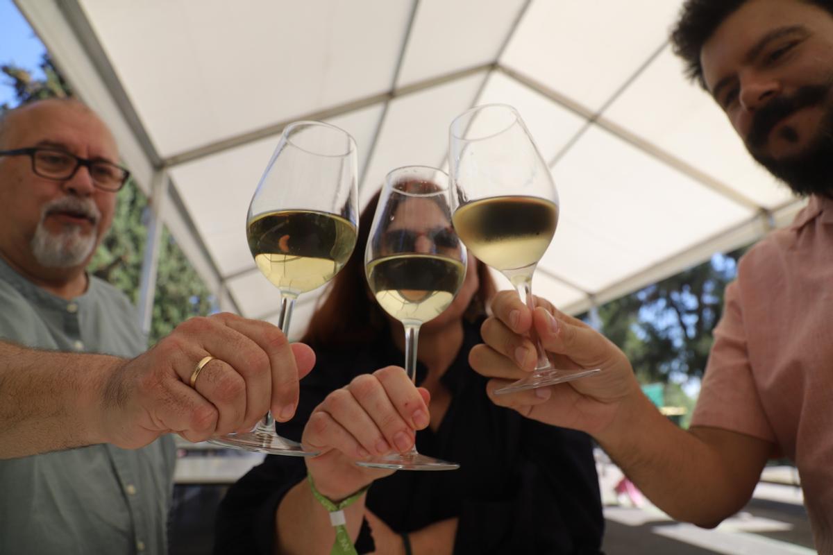 Sábado de Cata del Vino en Córdoba, en imágenes