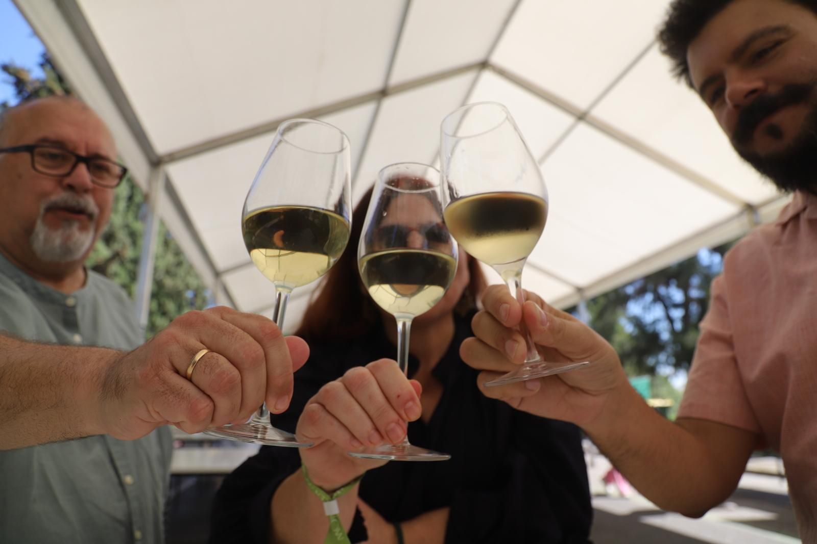 Sábado de Cata del Vino en Córdoba, en imágenes