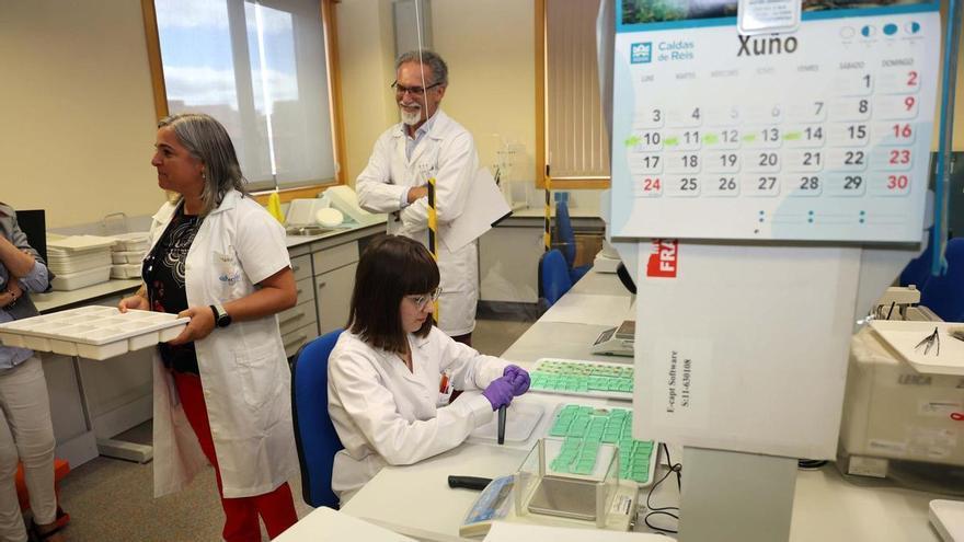 Sin mejillón, ostra ni almeja en Galicia: todas las bateas cerradas y solo tres de cada diez zonas marisqueras abiertas