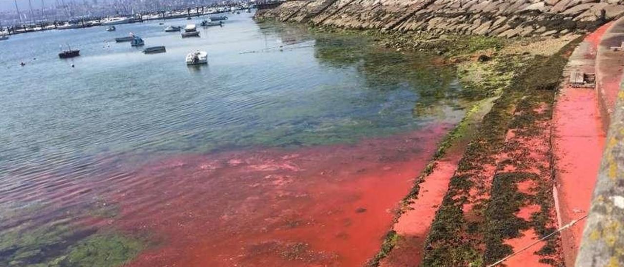 La marea roja de la Holi de Moaña. Así quedaron las aguas del frente marítimo de Moaña tras esa carrera festiva donde los participantes se dejan teñir con pinturas de colores. La limpieza hizo que el mar se tiñera de rojo, principalmente.  Santos Álvarez