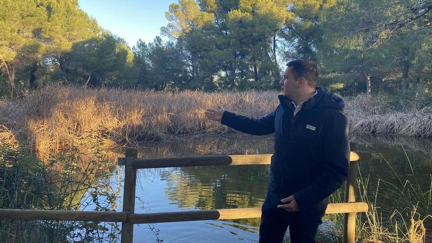 Benicarló mejorará la imagen de su pequeño oasis natural: "Había que actuar de forma urgente"