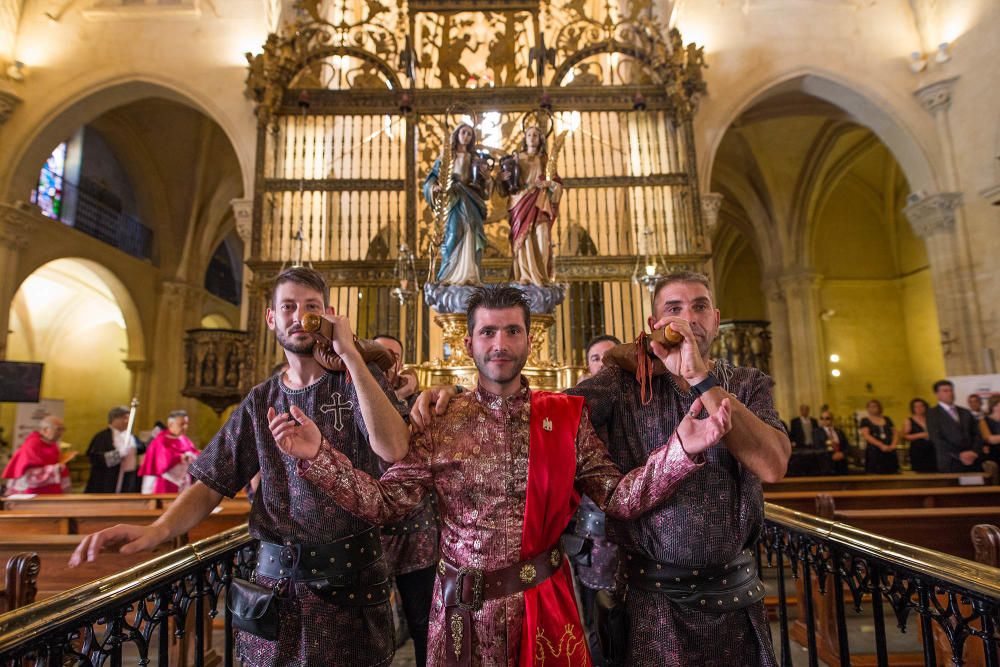 Pájaro Oriol en Orihuela