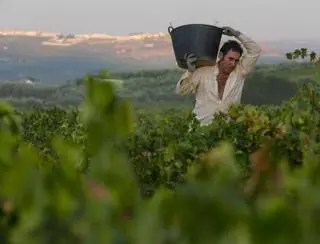La renta agraria vuelve a superar los 2.000 millones de euros en 2024