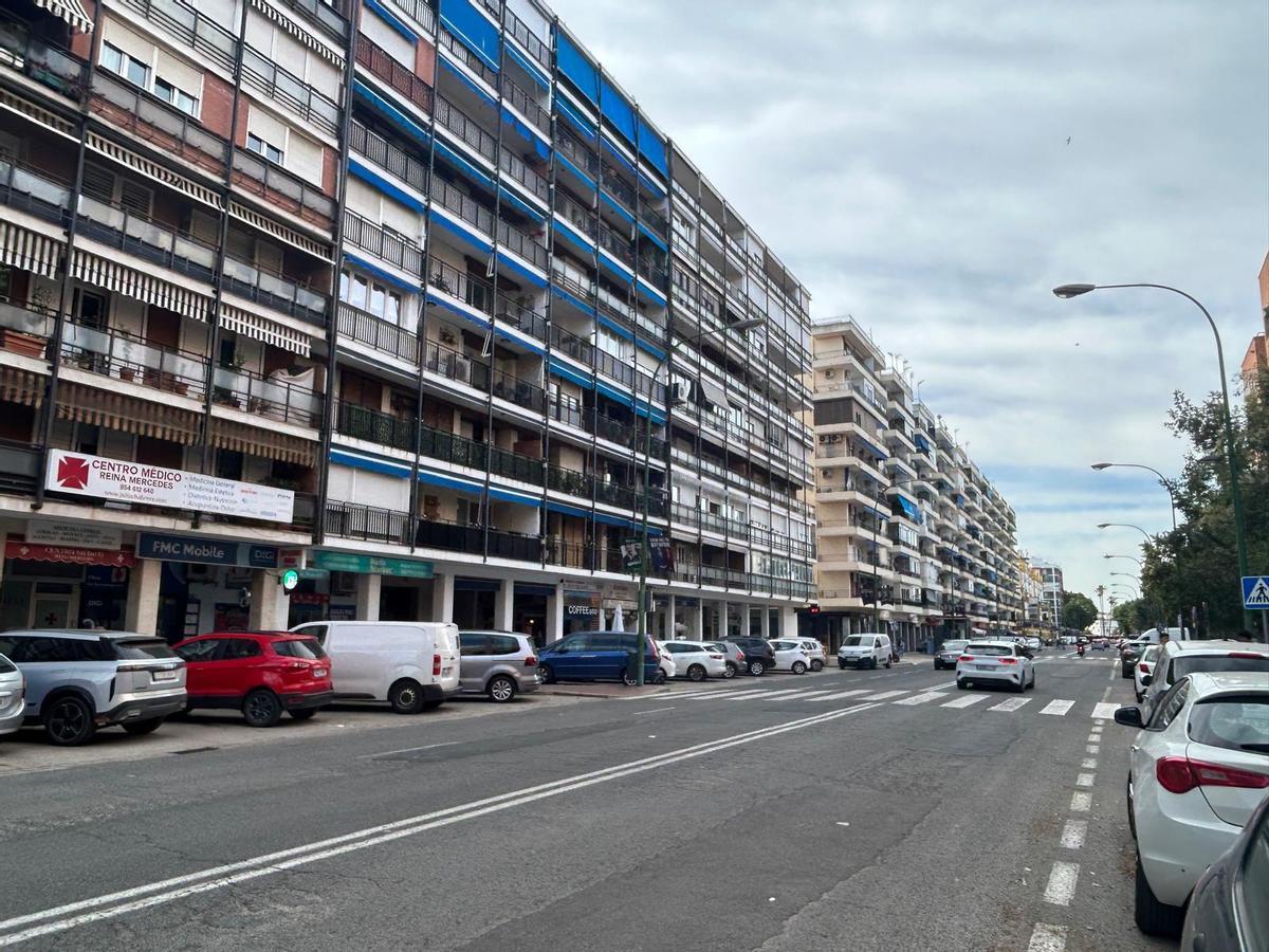 Avenida Reina Mercedes se someterá reestructuración.
