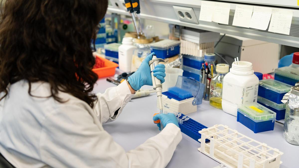 Una investigadora de la UPV