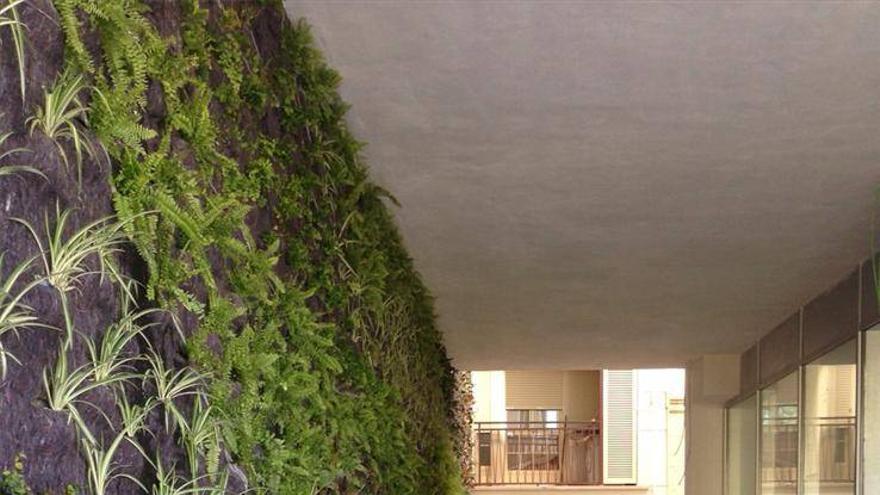 Inician la plantación del muro vegetal en La Gota de Navalmoral