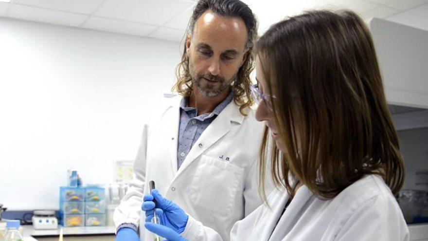 Dos técnicos de la empresa trabajan en uno de los laboratorios de Consell.