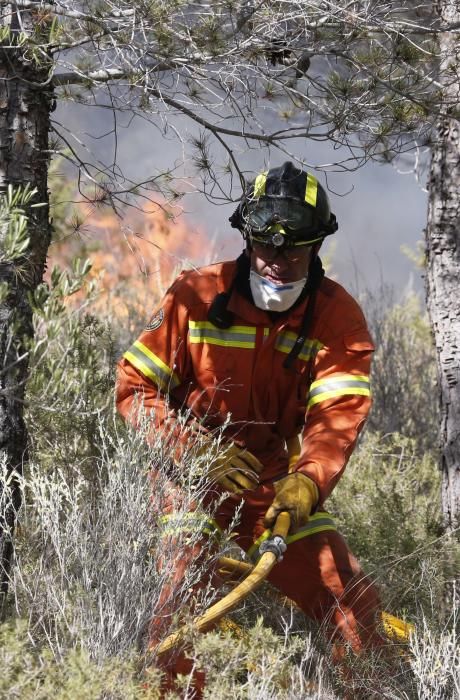 Incendio forestal en Carcaixent