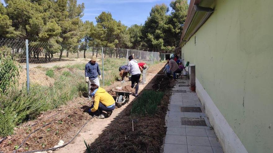 El ecohuerto de Valdespartera: "No sólo cultivamos alimentos, también relaciones"