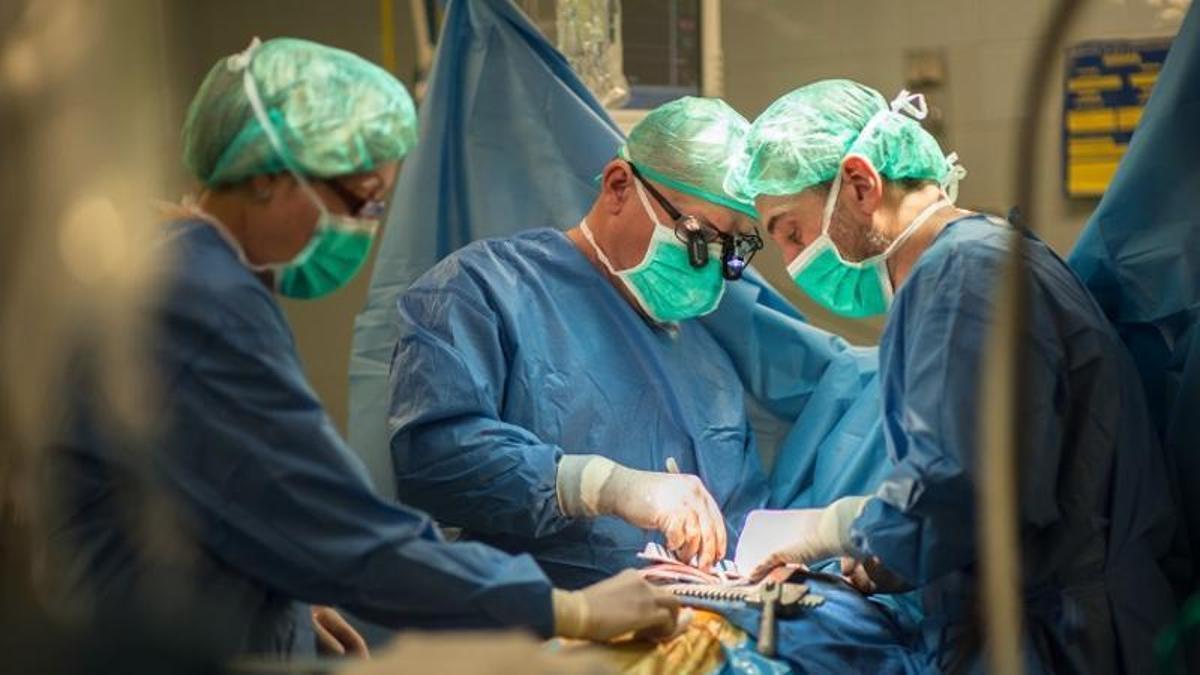 Una intervenció per a un trasplantament d'òrgan en una imatge d'arxiu.