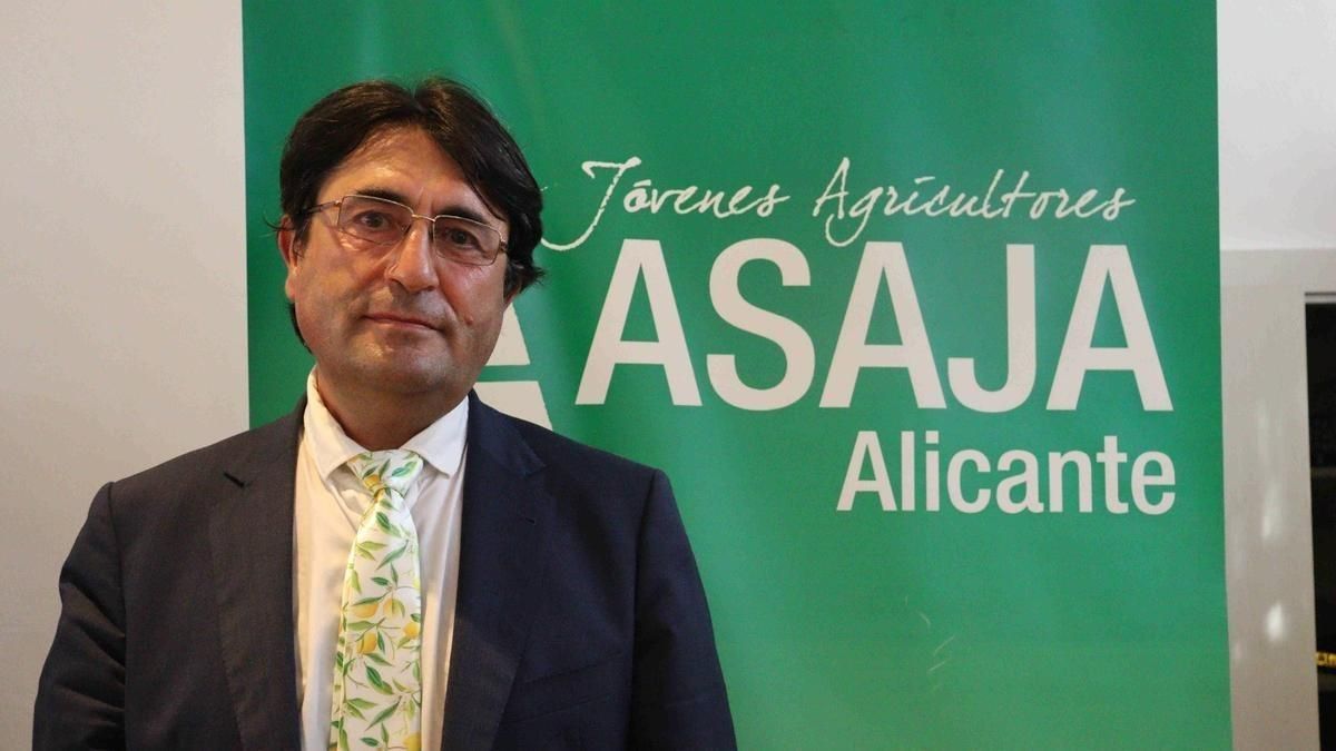 El presidente de Asaja, José Vicente Andreu.