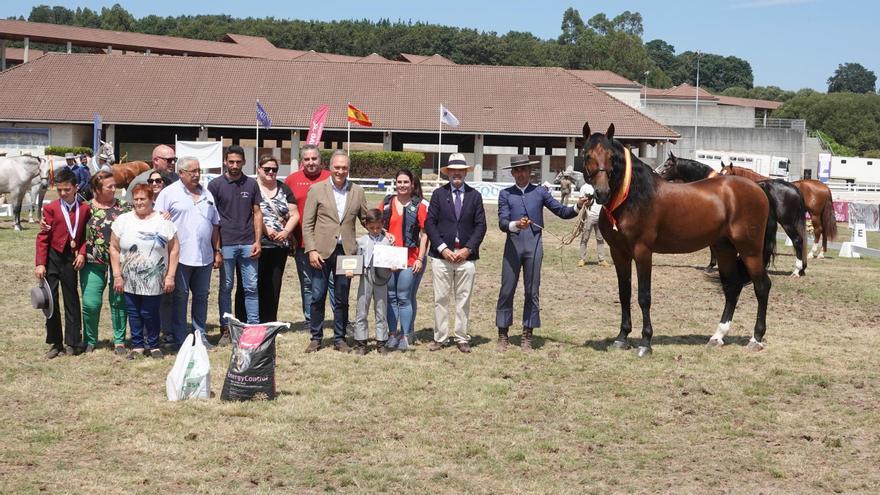 El ferial Equina de Silleda eligió como mejor caballo a Belmonte Torreluna, de Ponte Caldelas
