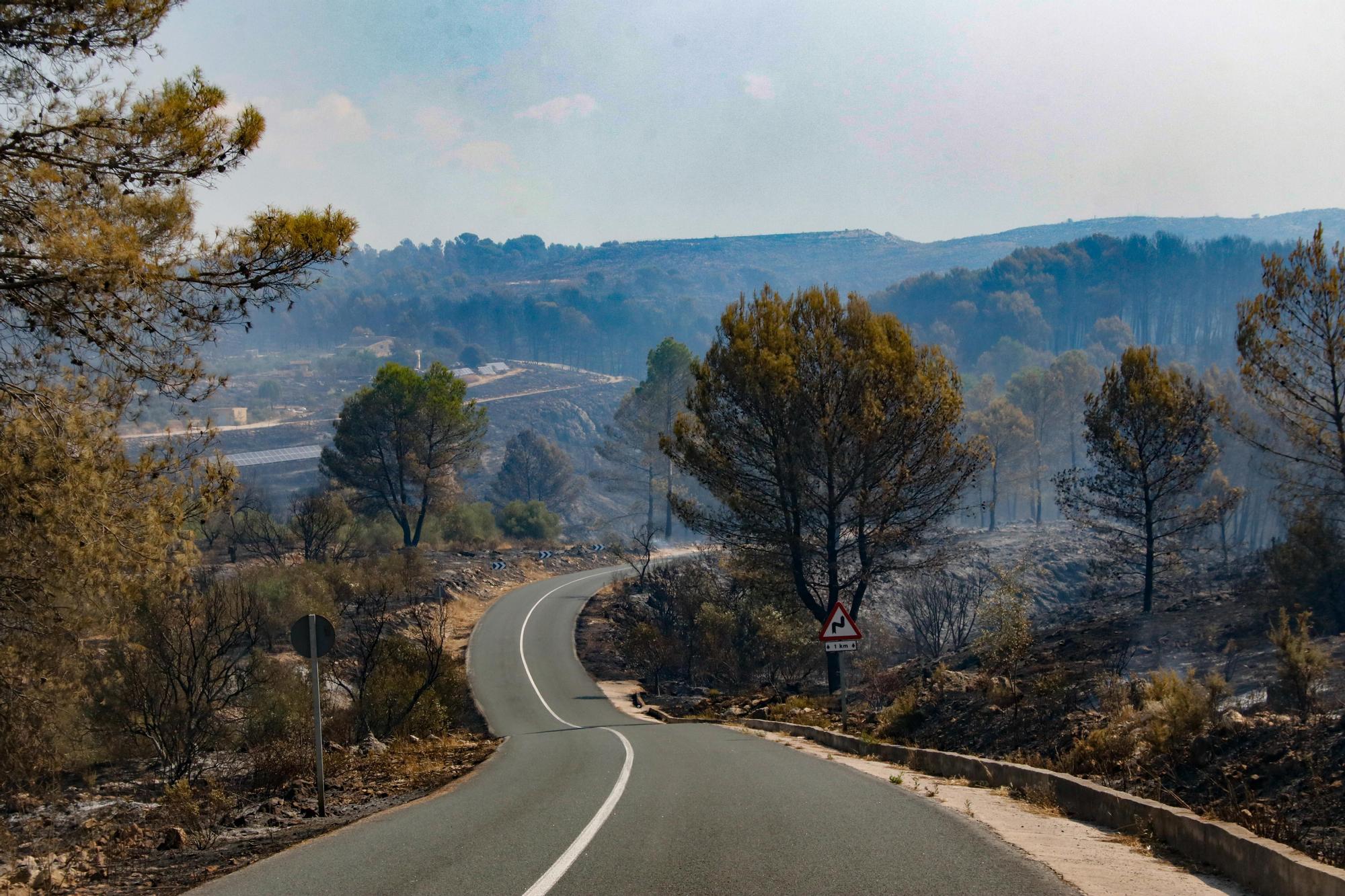 Así está el Vall d'Ebo un año después del incendio