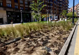 Un incendio calcina parte del jardín de la nueva plaza del Continental en Gijón