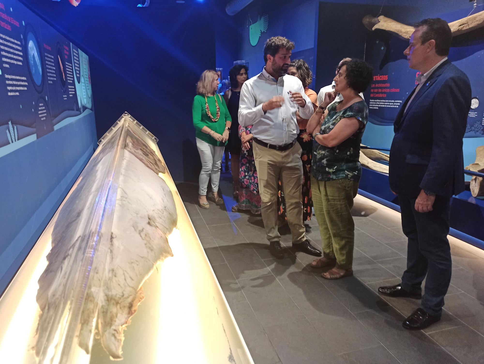 EN IMÉGENES: Así es el nuevo Museo del Calamar Gigante de Luarca
