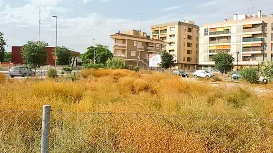 Solar en Sant Joan con gran cantidad de maleza.