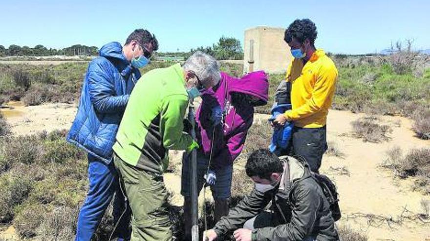 El equipo de investigadores obtiene las secuencias sedimentarias en la zona de s’Estany Pudent y s’Estany des Peix.