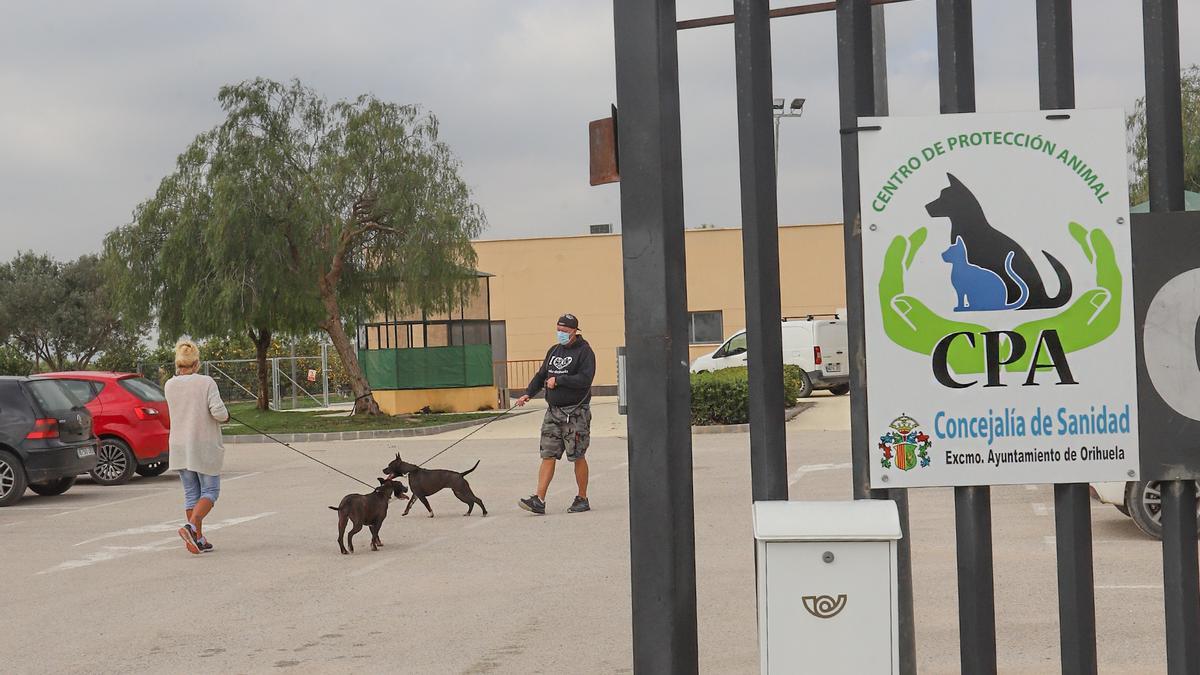 Centro de Protección Animal de Orihuela, en una imagen de archivo.