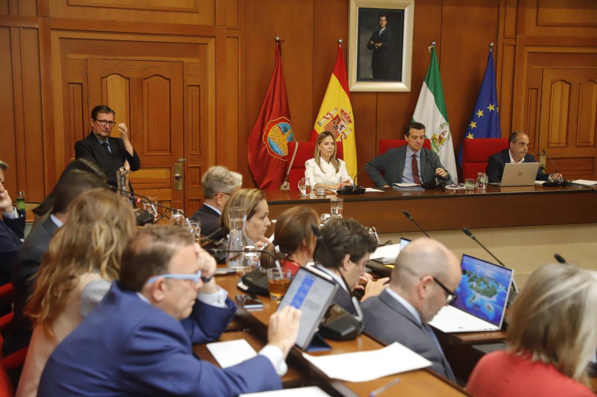 A.J.González Córdoba Pleno del Ayuntamiento de Córdoba