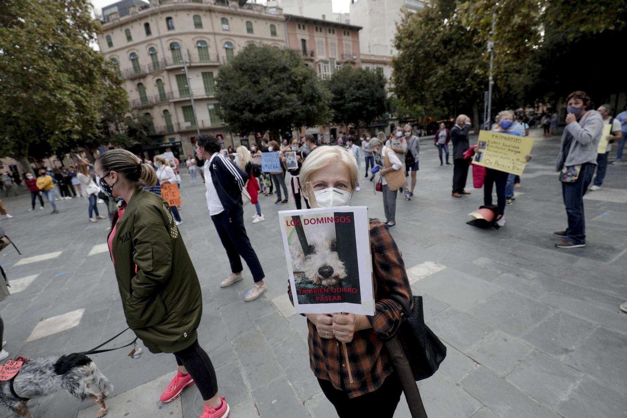 Palma celebra la Fira del Llibre