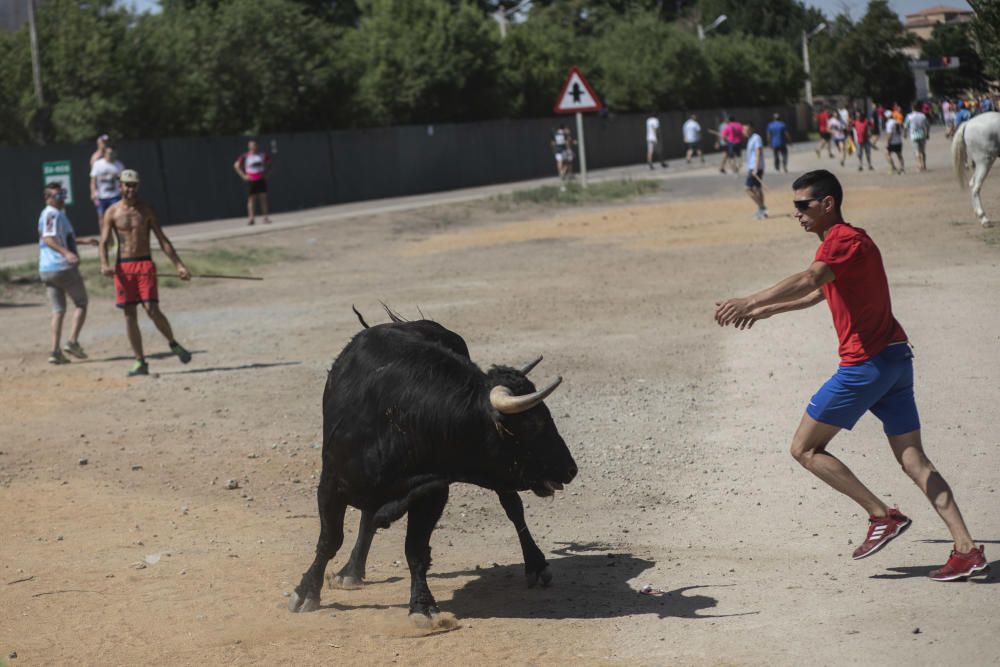 Espantes de Fuentesaúco