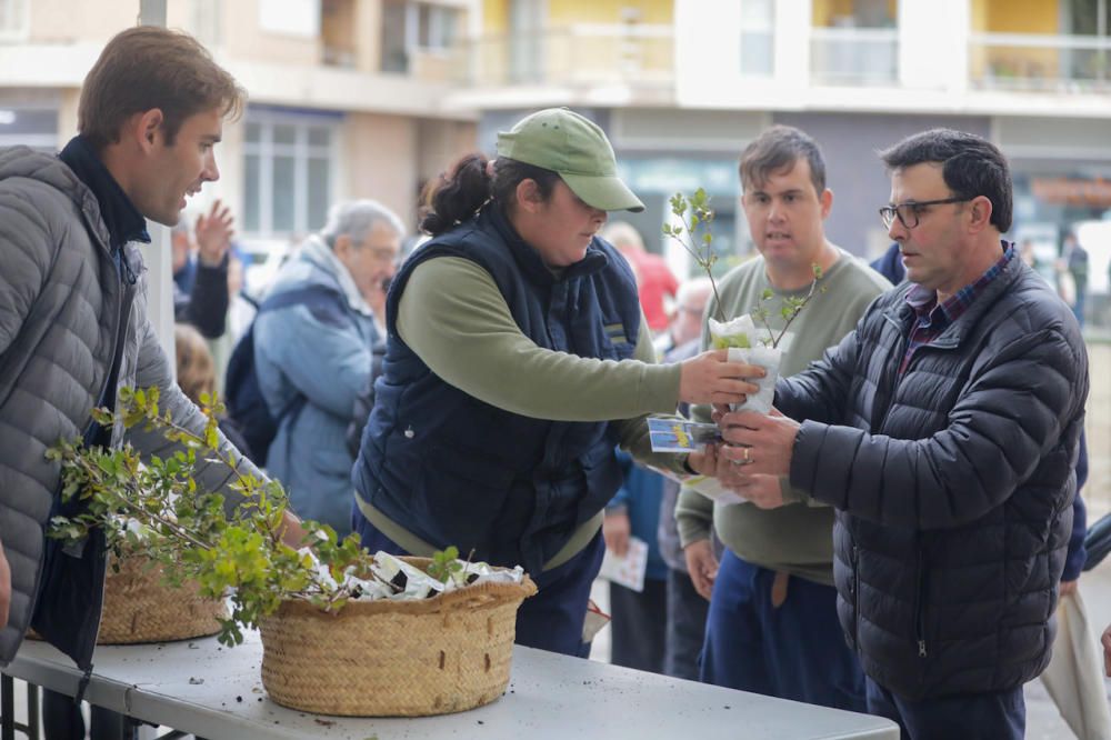 Regnerische Eindrücke von Mallorcas größtem Herbstmarkt