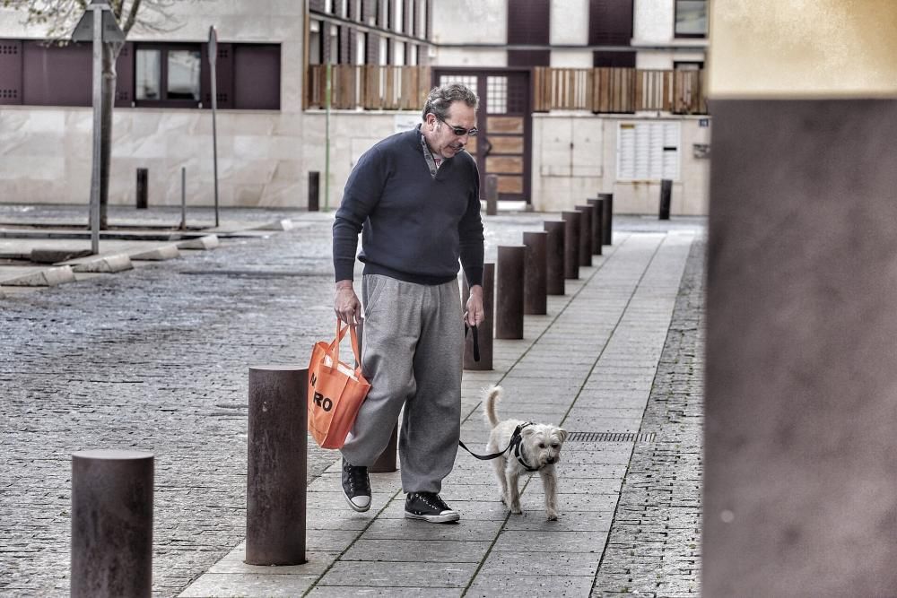 De paseo por La Laguna-Coronavirus 21/03/20  | 21/03/2020 | Fotógrafo: María Pisaca Gámez