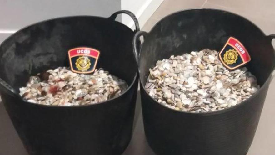 Intervienen 14 kilos de tellinas en la playa de la Malva-rosa