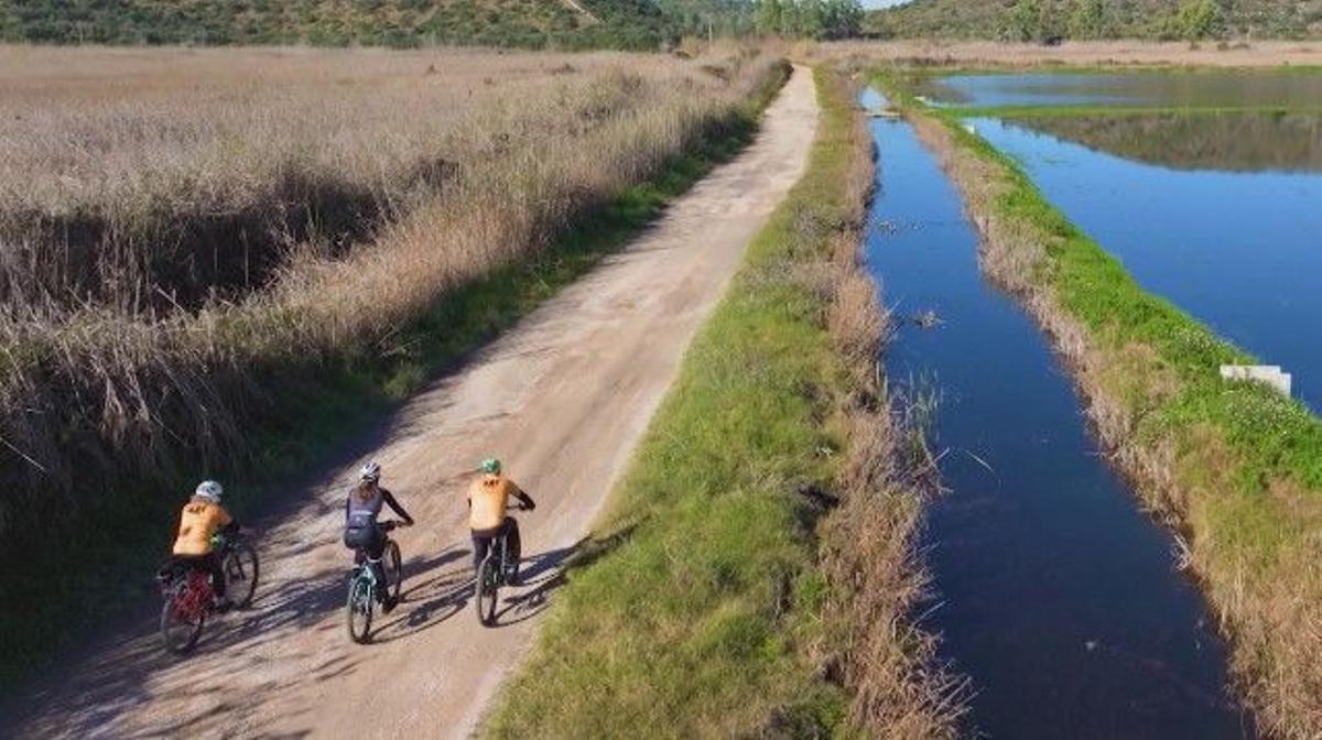 Valencians sobre rodes