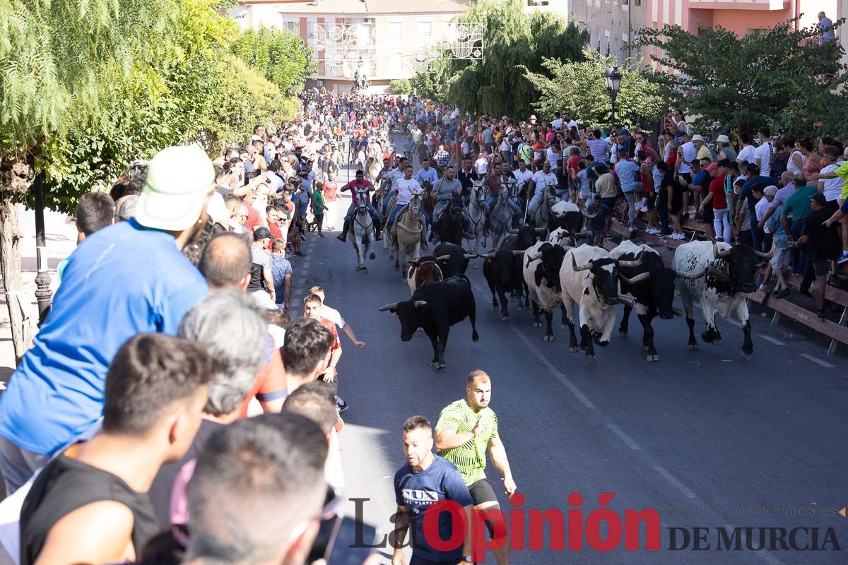 Último encierro en las Fiestas de Moratalla