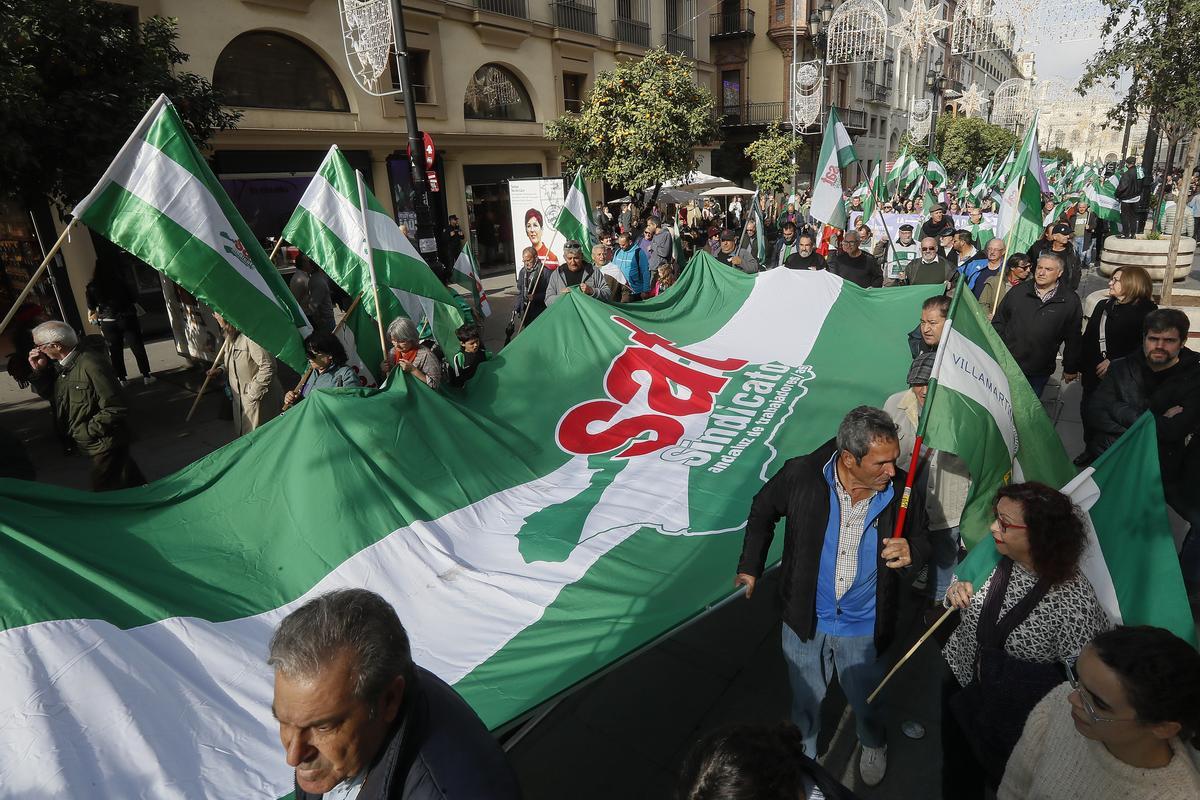 Andalucía celebra este domingo su primer Día de la Bandera el 4 de diciembre Andalucía celebra este domingo su primer Día de la Bandera el 4 de diciembre
