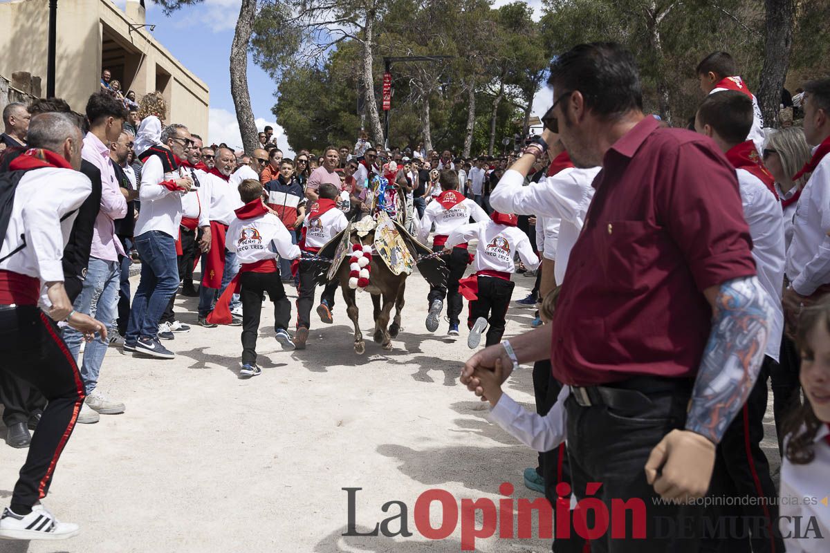 Fiestas de Caravaca | Desfile infantil del Bando de los Caballos del Vino