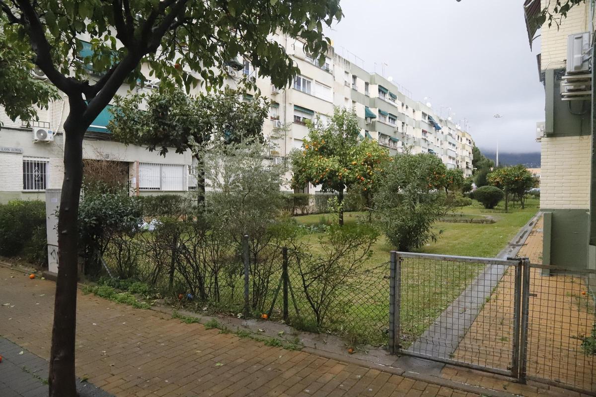 AJGonzález Córdoba Barrio Parque Figueroa zonas privadas de uso público Francisco Muñoz representante vecinal