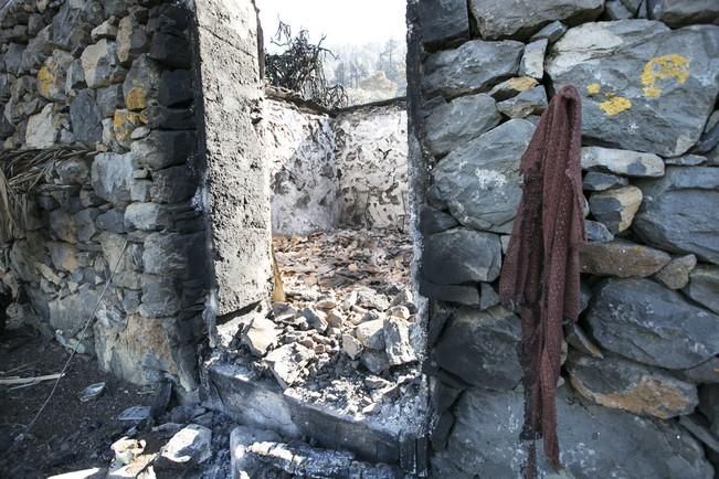 INCENDIO EN LA PALMA