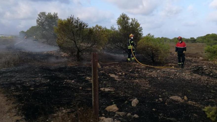 Un incendio alcanza cerca de 2.000 metros cuadrados de matorral y pino en el Parque Natural de La Mata