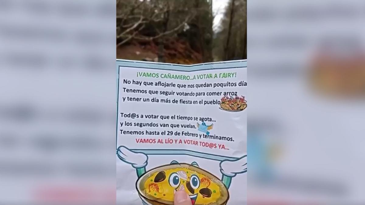 Cañamero a un paso de ganar el concurso de Fairy