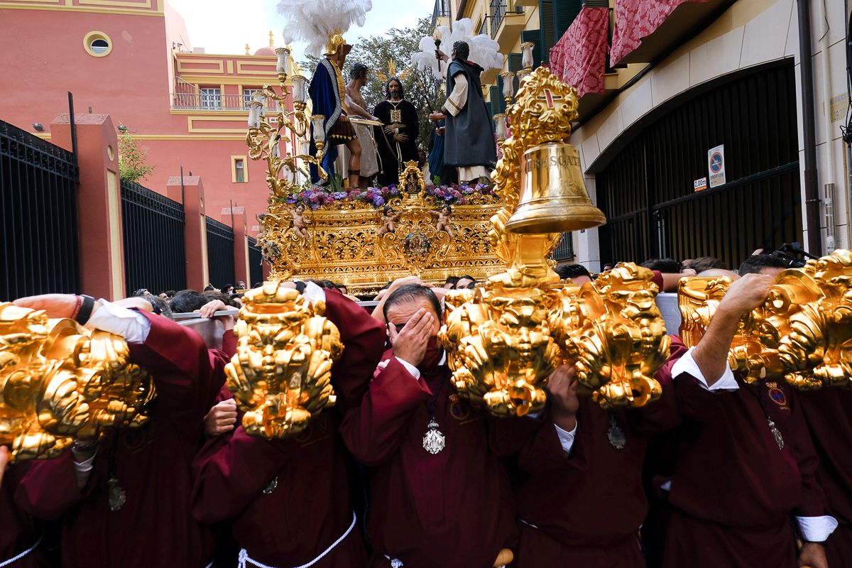 Fotos de las procesiones de la Magna de Málaga